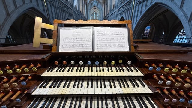 Playing the organ at Antwerp Cathedral